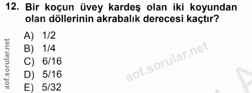 Soru 12