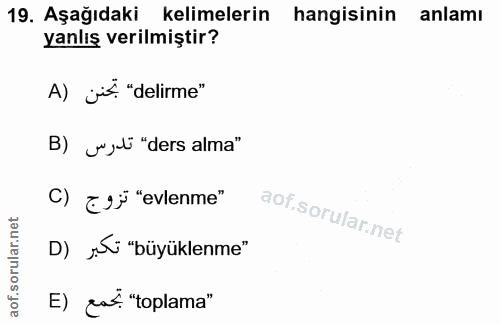 Soru 19