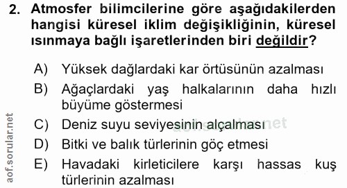 Soru 2
