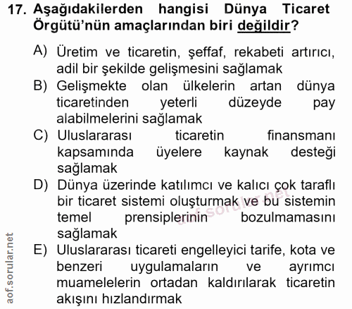 Soru 17