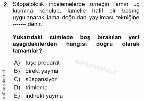 Soru 2