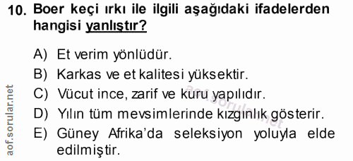 Soru 10