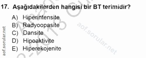 Soru 17