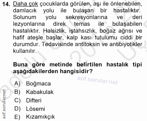 Soru 14
