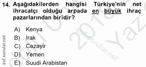 Soru 14