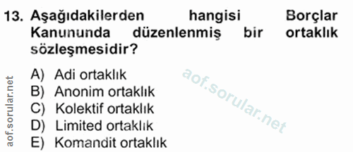 Soru 13