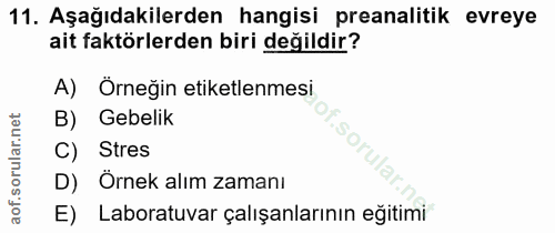 Soru 11