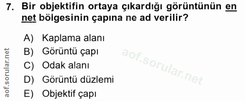 Soru 7