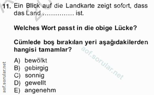 Soru 11