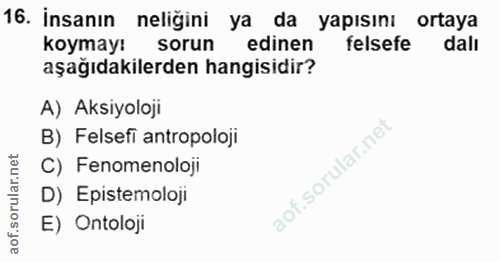 Soru 16
