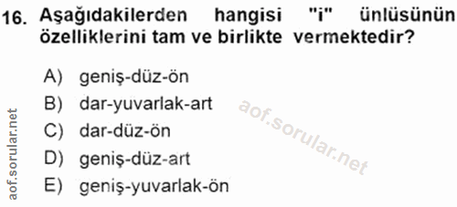 Soru 16