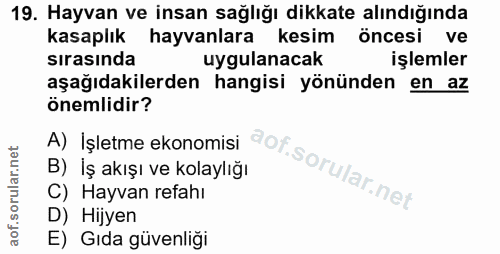 Soru 19