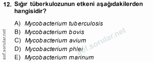 Soru 12