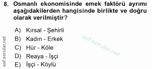 Soru 8