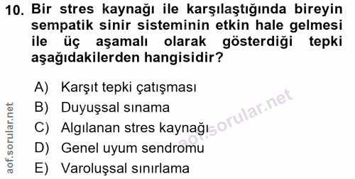 Soru 10