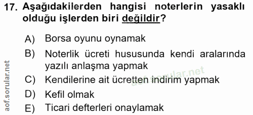 Soru 17
