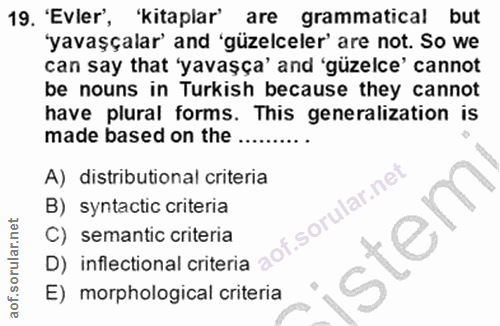 Soru 19