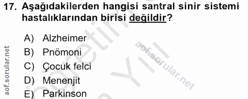 Soru 17
