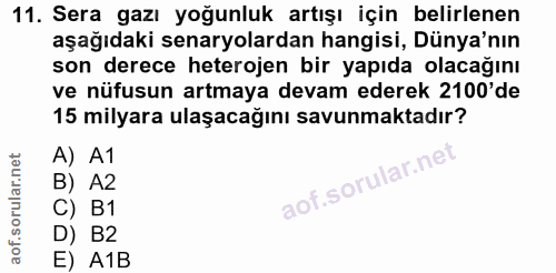 Soru 11