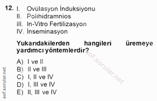 Soru 12