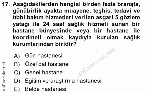 Soru 17