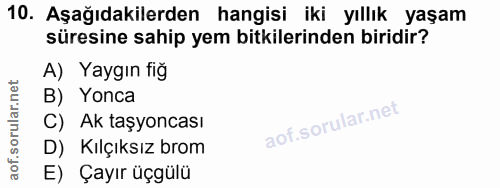 Soru 10