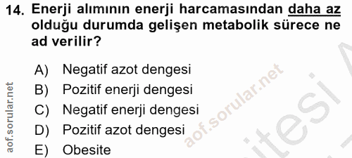Soru 14