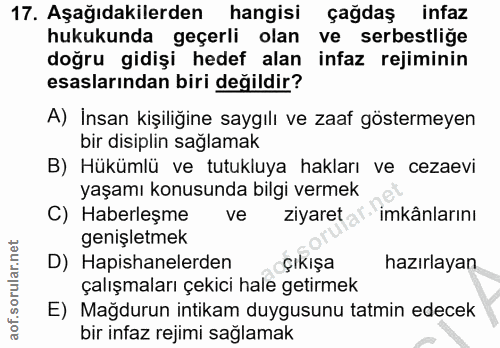 Soru 17