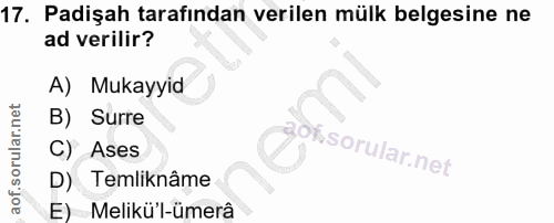 Soru 17