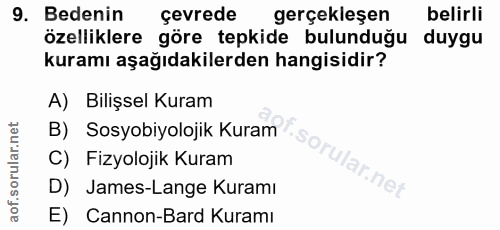 Soru 9
