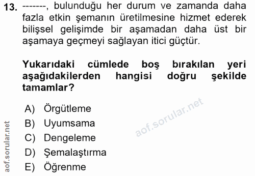 Soru 13