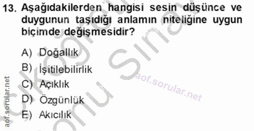 Soru 13