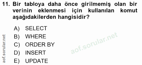Soru 11