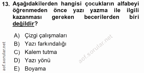 Soru 13