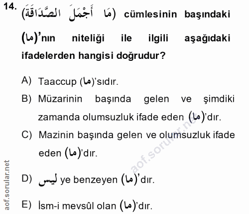 Soru 14