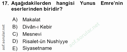 Soru 17