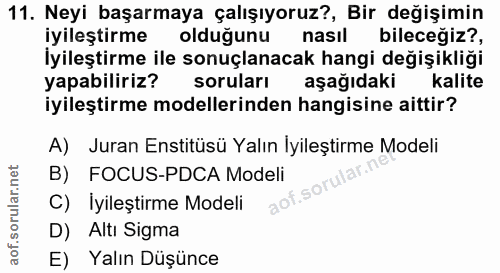 Soru 11