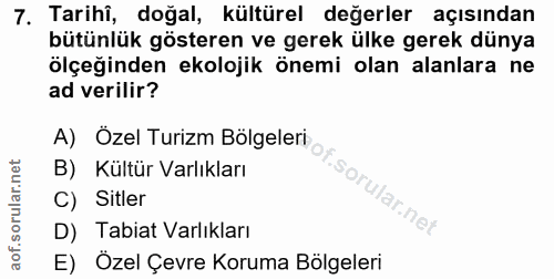 Soru 7