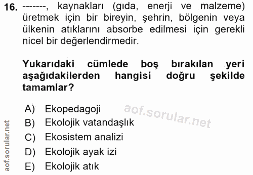 Soru 16