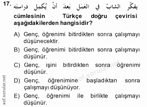 Soru 17