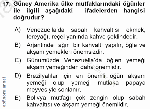 Soru 17