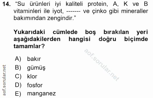 Soru 14