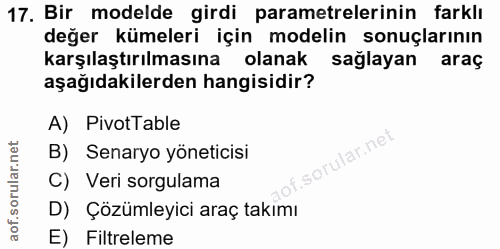 Soru 17
