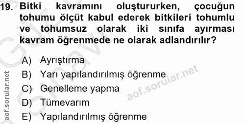 Soru 19