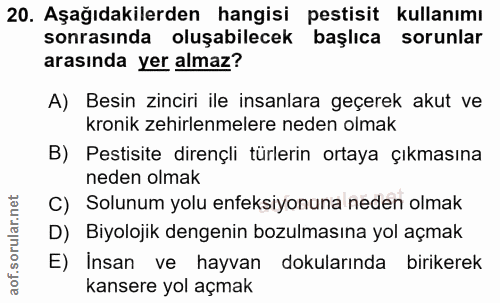 Soru 20