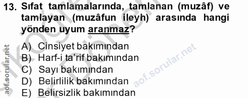 Soru 13
