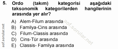 Soru 5
