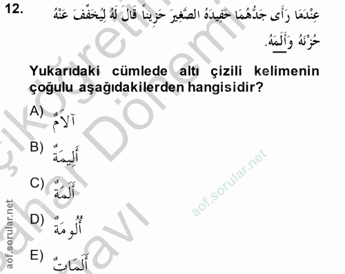 Soru 12