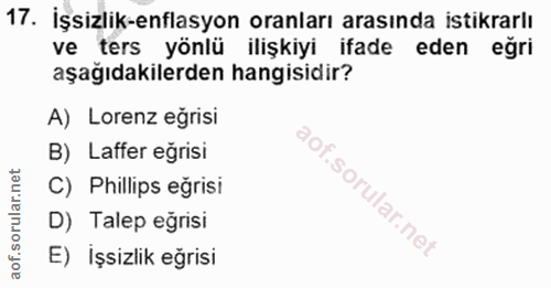 Soru 17