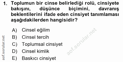 Soru 1